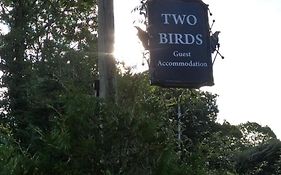 Two Birds Weekly Stay